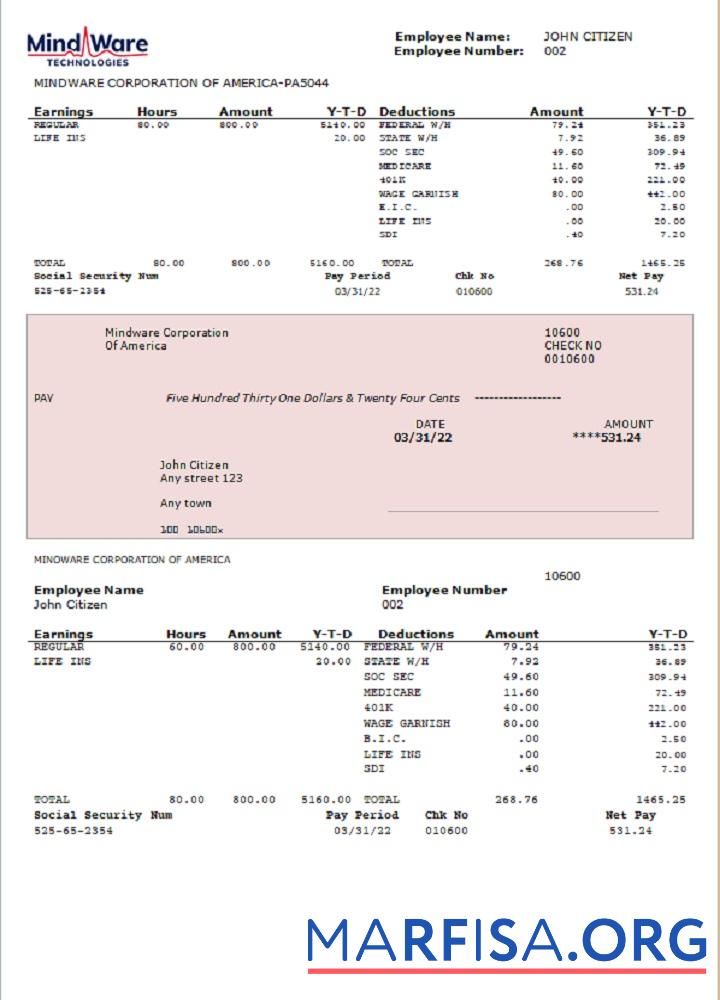 Realistic USA software company employee sheet template